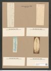 Pleurosigma var. curvulum (Kuetz) Grun. (de-Toni-Nr.: Genus 13, Species 1076) Zeichnungen Sammlung Grunow Nr. 1964 (NHMW-BOT-W0369107)